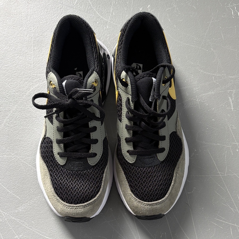 Nike air max sneakers